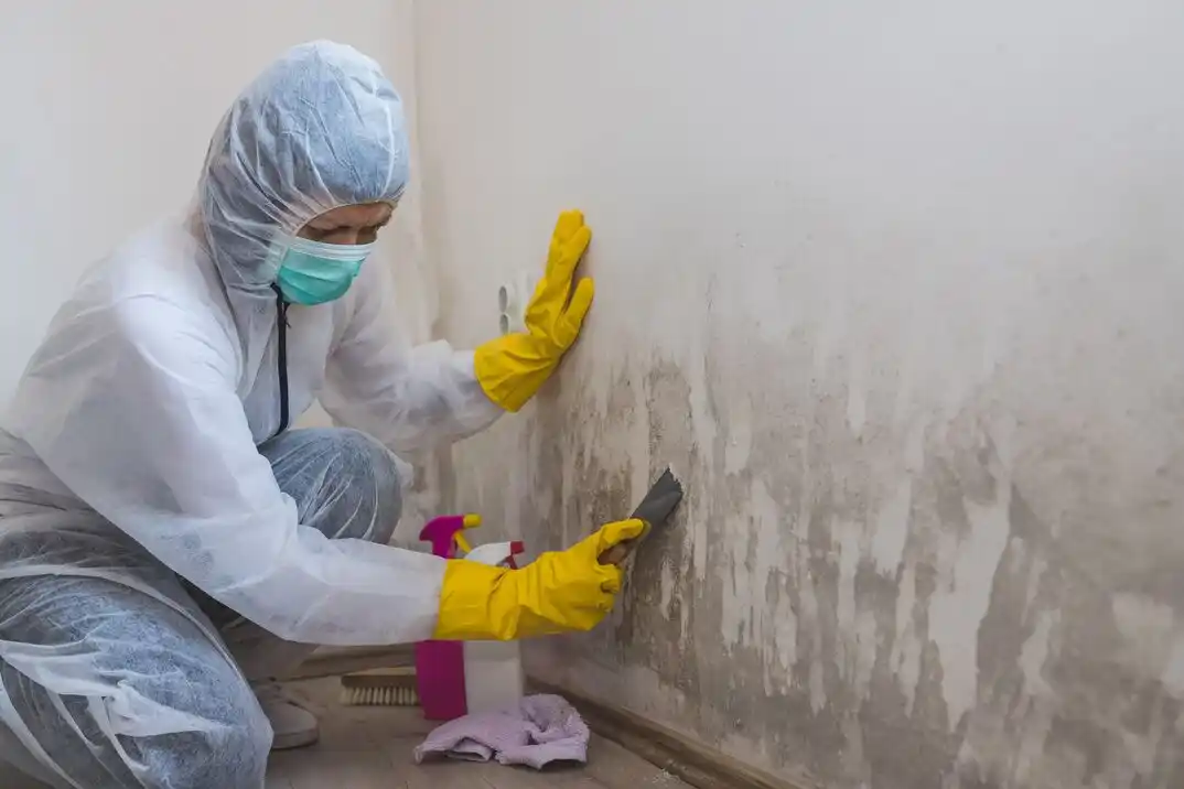 water damage restoration service Marlton
